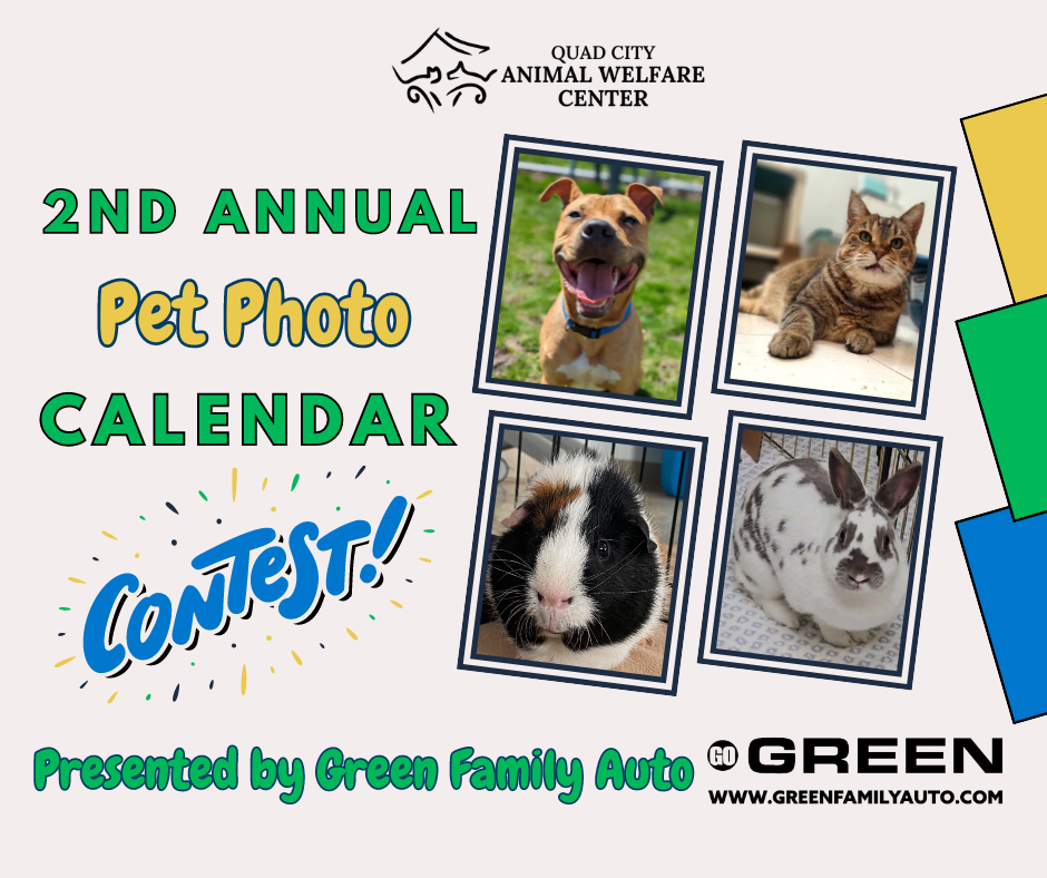 Pet photo calendar contest facebook post